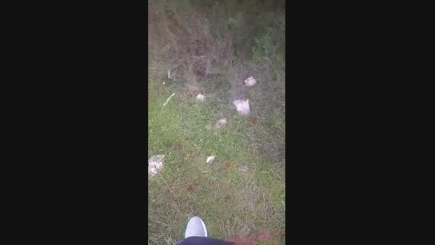 Top_man 11-02-2024 Recorded Video sweet
