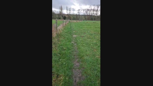 monsterlover 11-02-2024 Recorded Video beautiful