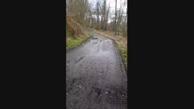 monsterlover 11-02-2024 Recorded Video orgasm
