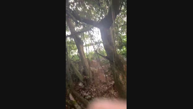Nado1santos 11-02-2024 Recorded Video hot