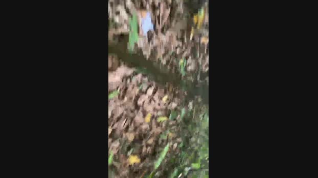 Nado1santos 11-02-2024 Recorded Video sex