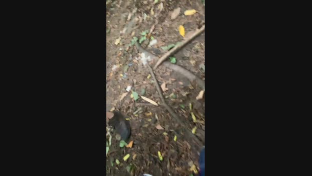 Nado1santos 11-02-2024 Recorded Video strip
