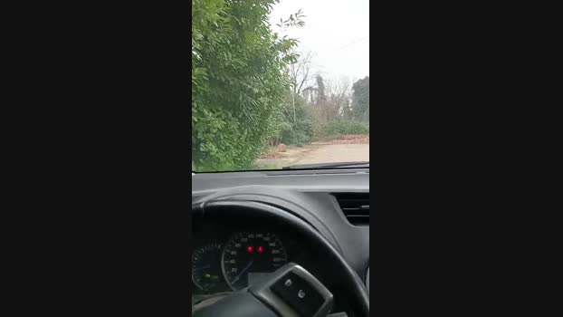 lovetrans111 12-02-2024 Recorded Video big