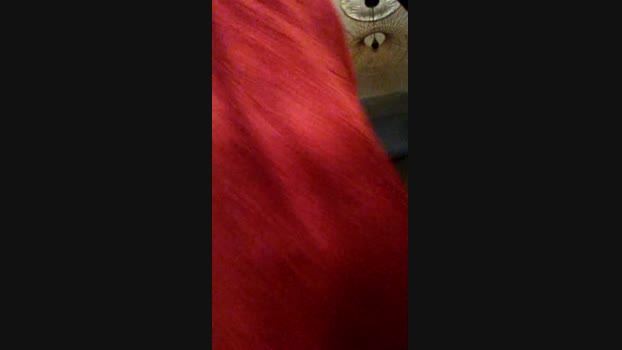 PenisAVoir 12-02-2024 Recorded Video fingers