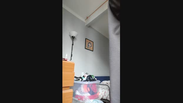 felipedavidtgn2 13-02-2024 Recorded Video suckshow