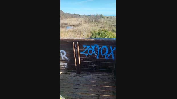 6Q87 14-02-2024 Recorded Video jerkoff
