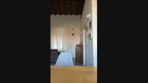 Bigwhitebull 14-02-2024 Recorded Video suck