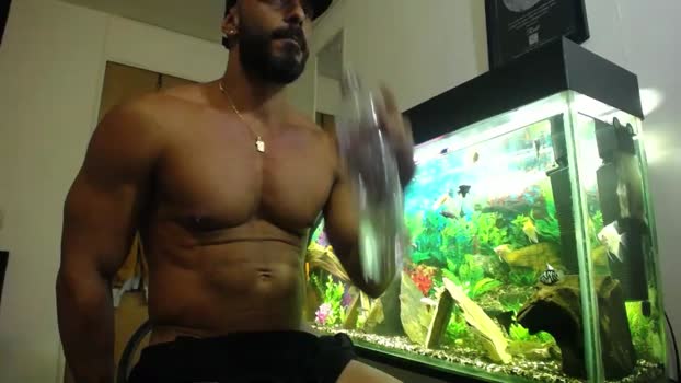romeolovehot 14-02-2024 Recorded Video fuckhard