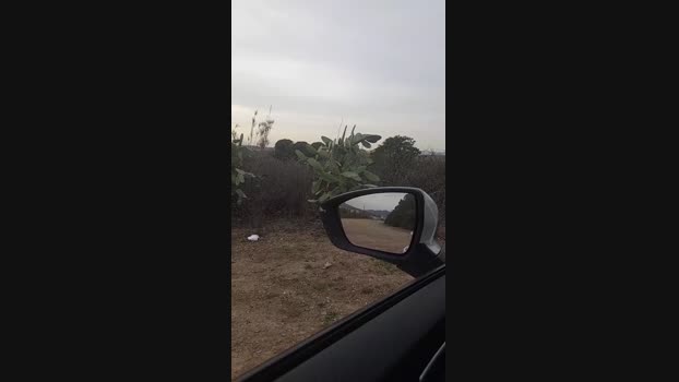 Bcnees 15-02-2024 Recorded Video squirt