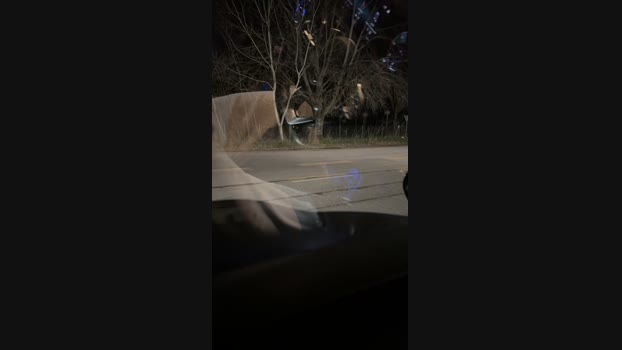JOREDD 14-02-2024 Recorded Video twink