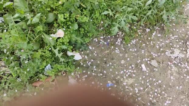 JovenMadridSur 16-02-2024 Recorded Video bigtoys