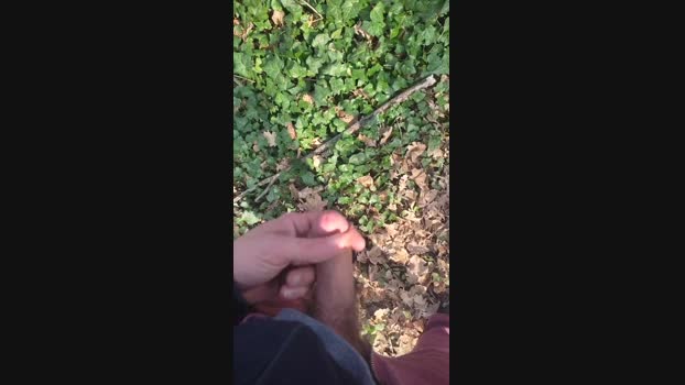 Scarearies 16-02-2024 Recorded Video hard