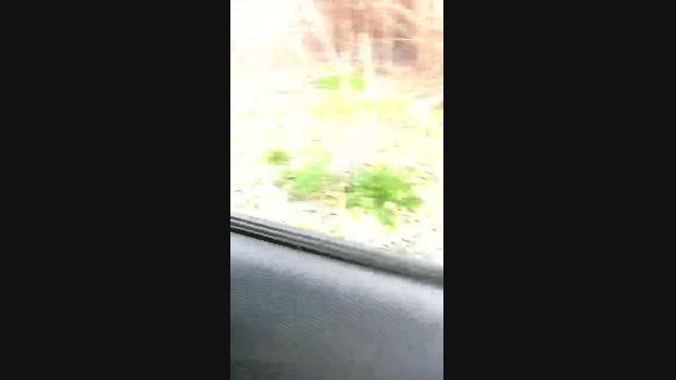 marcoroma57 16-02-2024 Recorded Video jerkoff
