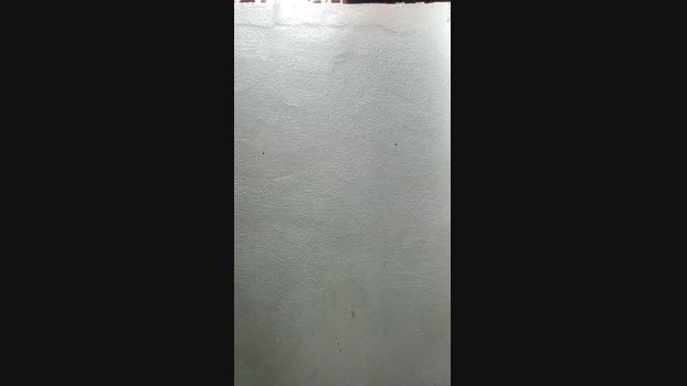JAPAPIKAGG 17-02-2024 Recorded Video toy