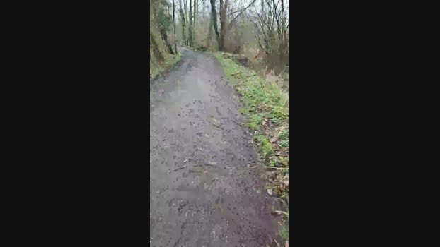 monsterlover 17-02-2024 Recorded Video strip