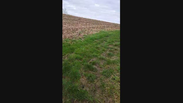 monsterlover 17-02-2024 Recorded Video fuckher