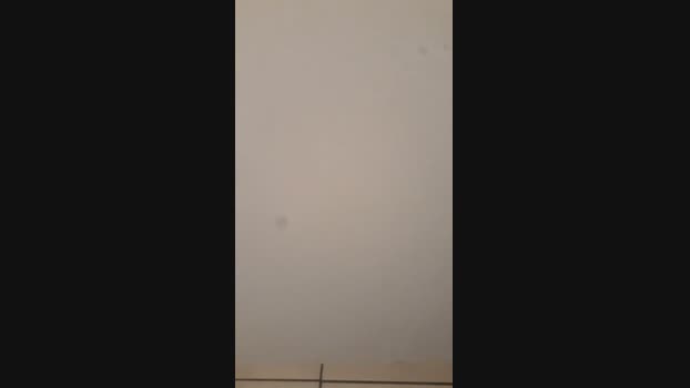 Gabii4575 17-02-2024 Recorded Video gag