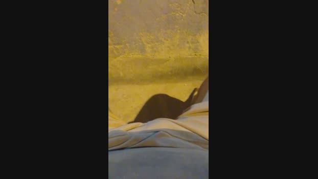 Marlinpss 18-02-2024 Recorded Video gag