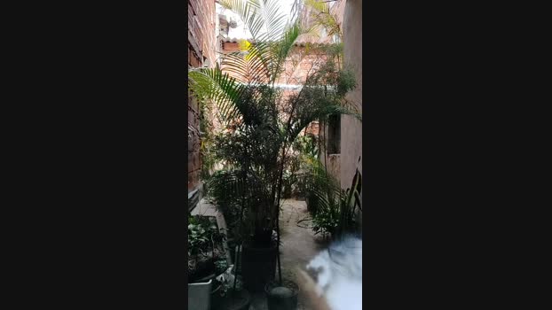 Sexylatinogay 17-02-2024 Recorded Video fingering