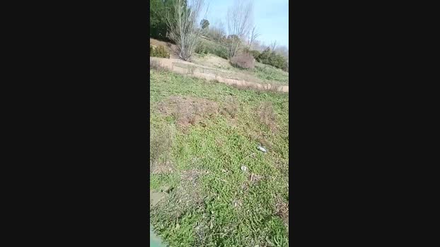 pitorry_hot4 18-02-2024 Recorded Video sexykitty
