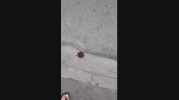 Guyfavelado193 18-02-2024 Recorded Video jerkoff