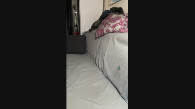 HairyGuy06 18-02-2024 Recorded Video bigtoys