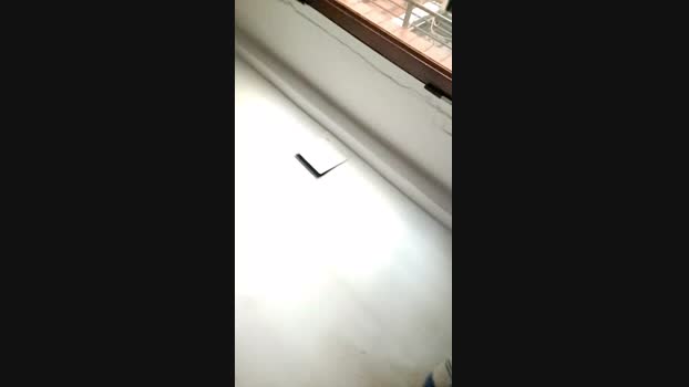 alan610 18-02-2024 Recorded Video kink