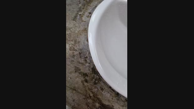ctoned 18-02-2024 Recorded Video gag
