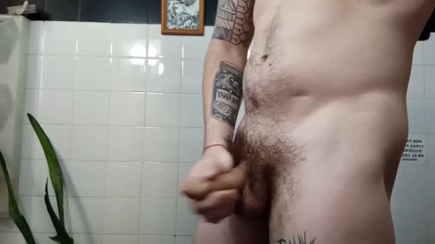 manuelmp87 19-02-2024 Recorded Video toy