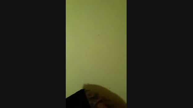Guyfavelado193 20-02-2024 Recorded Video Cam