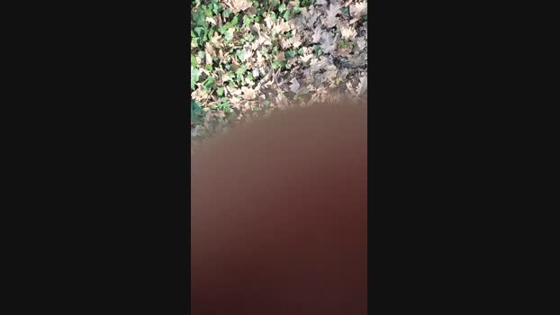 Scarearies 20-02-2024 Recorded Video bigass