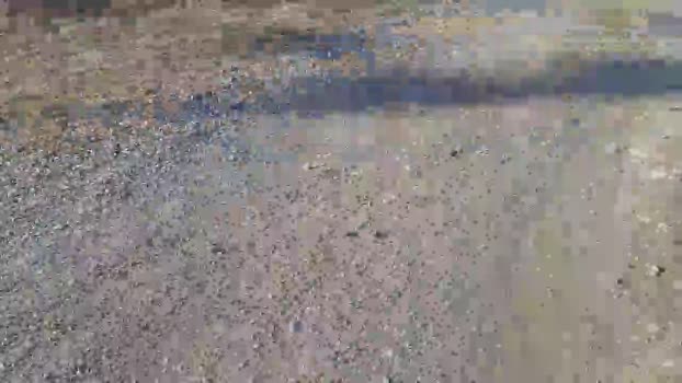 maturo32 20-02-2024 Recorded Video Video