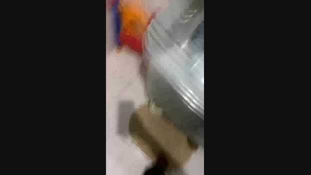 Negoorj 21-02-2024 Recorded Video bj-dildo