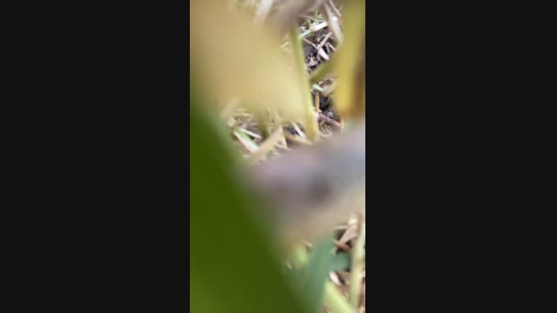 Skinny23cm 21-02-2024 Recorded Video dirty