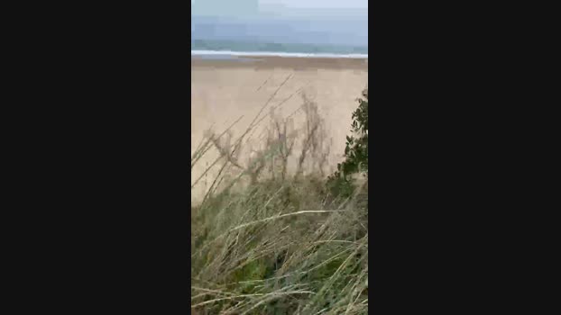biorn4 21-02-2024 Recorded Video suckcock
