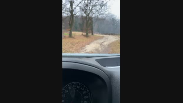 Edward_venezia 22-02-2024 Recorded Video Porn