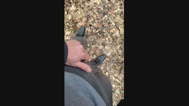 Scarearies 22-02-2024 Recorded Video play