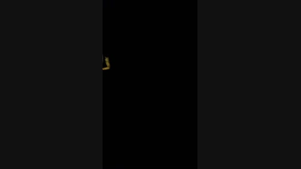 ggbigxxl2 21-02-2024 Recorded Video lush