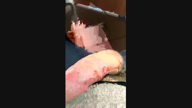 pabl54 22-02-2024 Recorded Video natural