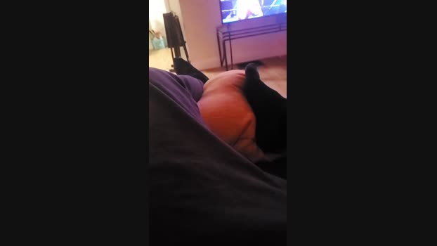 Shotime69altme 23-02-2024 Recorded Video spanking