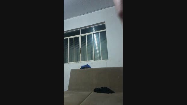 bullbravo 23-02-2024 Recorded Video bigass