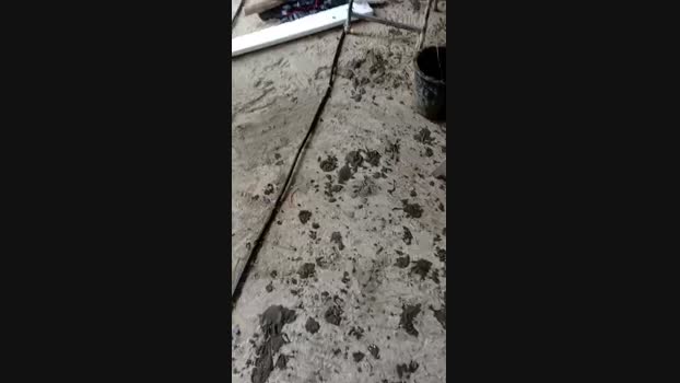 florin2325_xxx 25-02-2024 Recorded Video play