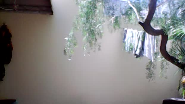teixeirasex 26-02-2024 Recorded Video prettyface