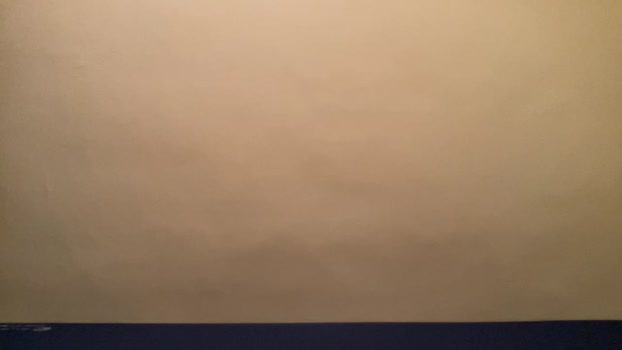 wang24 26-02-2024 Recorded Video big