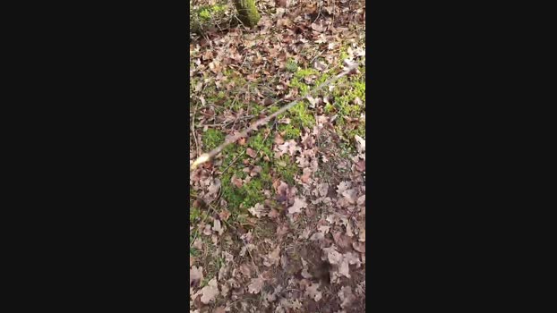 Outdoorgeil1 27-02-2024 Recorded Video horny