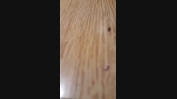 gabriel4575 27-02-2024 Recorded Video analtoy