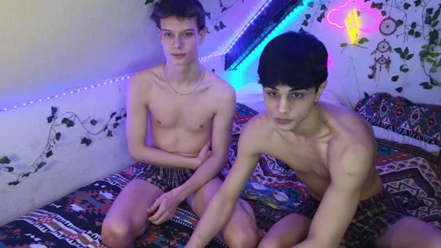 VVS667 27-02-2024 Recorded Video Cam