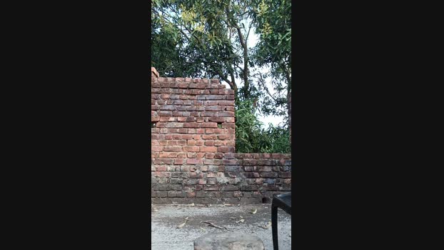 chiranjitho1 28-02-2024 Recorded Video fuckhard