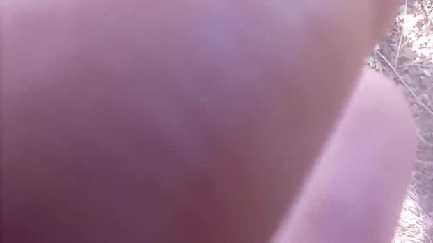 Dirtysneakers 29-02-2024 Recorded Video bicurious