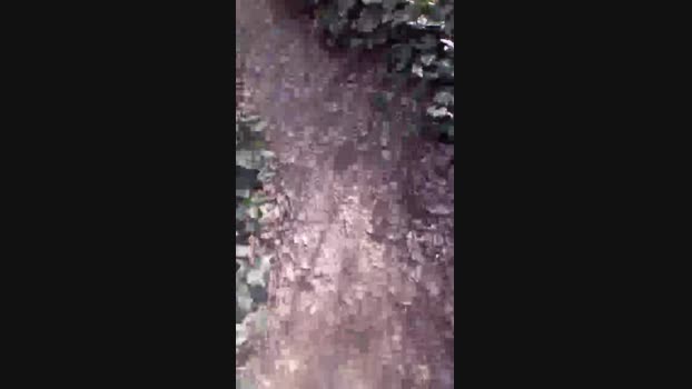 Dirtysneakers 29-02-2024 Recorded Video amateur